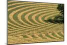 Wood Mount