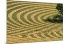 Wood Mount