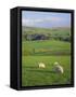 Farming Countryside, County Antrim, Northern Ireland-Gavin Hellier-Framed Stretched Canvas