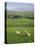 Farming Countryside, County Antrim, Northern Ireland-Gavin Hellier-Stretched Canvas