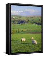 Farming Countryside, County Antrim, Northern Ireland-Gavin Hellier-Framed Stretched Canvas