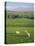 Farming Countryside, County Antrim, Northern Ireland-Gavin Hellier-Stretched Canvas