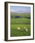 Farming Countryside, County Antrim, Northern Ireland-Gavin Hellier-Framed Photographic Print