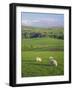 Farming Countryside, County Antrim, Northern Ireland-Gavin Hellier-Framed Photographic Print