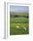 Farming Countryside, County Antrim, Northern Ireland-Gavin Hellier-Framed Photographic Print