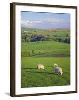 Farming Countryside, County Antrim, Northern Ireland-Gavin Hellier-Framed Photographic Print