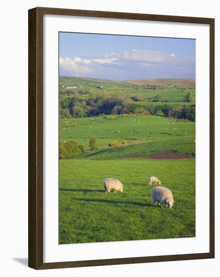 Farming Countryside, County Antrim, Northern Ireland-Gavin Hellier-Framed Photographic Print