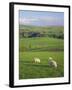 Farming Countryside, County Antrim, Northern Ireland-Gavin Hellier-Framed Photographic Print