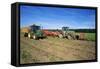 Farming Harvesting Potatoes-null-Framed Stretched Canvas