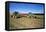 Farming Harvesting Potatoes-null-Framed Stretched Canvas