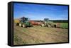 Farming Harvesting Potatoes-null-Framed Stretched Canvas