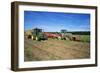 Farming Harvesting Potatoes-null-Framed Photographic Print