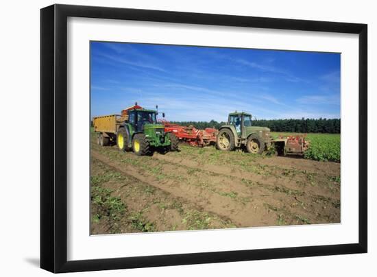 Farming Harvesting Potatoes-null-Framed Photographic Print