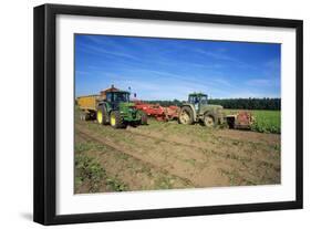 Farming Harvesting Potatoes-null-Framed Photographic Print