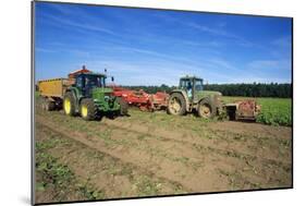 Farming Harvesting Potatoes-null-Mounted Photographic Print