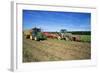 Farming Harvesting Potatoes-null-Framed Photographic Print