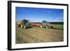 Farming Harvesting Potatoes-null-Framed Photographic Print