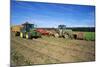 Farming Harvesting Potatoes-null-Mounted Photographic Print