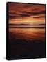 Farmington Bay, Great Salt Lake, Antelope Island, Stansbury Island, Great Basin, Utah, USA-Scott T. Smith-Framed Stretched Canvas