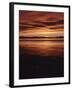 Farmington Bay, Great Salt Lake, Antelope Island, Stansbury Island, Great Basin, Utah, USA-Scott T. Smith-Framed Premium Photographic Print