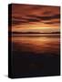 Farmington Bay, Great Salt Lake, Antelope Island, Stansbury Island, Great Basin, Utah, USA-Scott T. Smith-Stretched Canvas