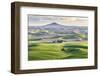 Farmington, Washington State, USA. Wheat farms in front of Steptoe Butte in the Palouse hills.-Emily Wilson-Framed Photographic Print