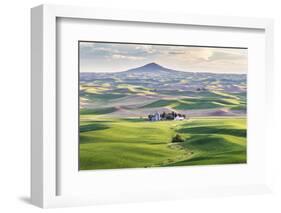 Farmington, Washington State, USA. Wheat farms in front of Steptoe Butte in the Palouse hills.-Emily Wilson-Framed Photographic Print