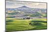 Farmington, Washington State, USA. Wheat farms in front of Steptoe Butte in the Palouse hills.-Emily Wilson-Mounted Photographic Print