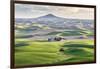 Farmington, Washington State, USA. Wheat farms in front of Steptoe Butte in the Palouse hills.-Emily Wilson-Framed Photographic Print