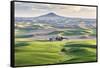 Farmington, Washington State, USA. Wheat farms in front of Steptoe Butte in the Palouse hills.-Emily Wilson-Framed Stretched Canvas