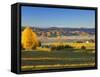 Farmland, Alexandra, Central Otago, South Island, New Zealand, Pacific-Jochen Schlenker-Framed Stretched Canvas