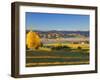 Farmland, Alexandra, Central Otago, South Island, New Zealand, Pacific-Jochen Schlenker-Framed Photographic Print