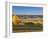 Farmland, Alexandra, Central Otago, South Island, New Zealand, Pacific-Jochen Schlenker-Framed Photographic Print