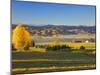 Farmland, Alexandra, Central Otago, South Island, New Zealand, Pacific-Jochen Schlenker-Mounted Photographic Print