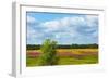 Farmland and flower fields, Estonia-Keren Su-Framed Photographic Print