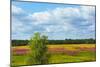 Farmland and flower fields, Estonia-Keren Su-Mounted Photographic Print