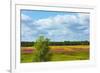 Farmland and flower fields, Estonia-Keren Su-Framed Photographic Print