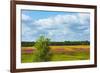 Farmland and flower fields, Estonia-Keren Su-Framed Photographic Print