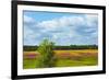 Farmland and flower fields, Estonia-Keren Su-Framed Photographic Print