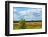 Farmland and flower fields, Estonia-Keren Su-Framed Photographic Print