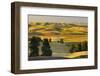 Farmland at Harvest Time-JuneJ-Framed Photographic Print