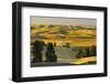 Farmland at Harvest Time-JuneJ-Framed Photographic Print