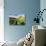 Farmland at the Base of Illiniza Norte Volcano, Pichincha Province, Ecuador, South America-Matthew Williams-Ellis-Photographic Print displayed on a wall