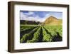 Farmland at the Base of Illiniza Norte Volcano, Pichincha Province, Ecuador, South America-Matthew Williams-Ellis-Framed Photographic Print