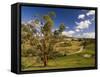 Farmland, Buchan, Victoria, Australia, Pacific-Schlenker Jochen-Framed Stretched Canvas