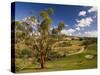 Farmland, Buchan, Victoria, Australia, Pacific-Schlenker Jochen-Stretched Canvas