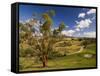 Farmland, Buchan, Victoria, Australia, Pacific-Schlenker Jochen-Framed Stretched Canvas