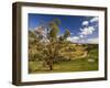 Farmland, Buchan, Victoria, Australia, Pacific-Schlenker Jochen-Framed Photographic Print