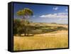 Farmland, Buchan, Victoria, Australia, Pacific-Schlenker Jochen-Framed Stretched Canvas