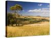 Farmland, Buchan, Victoria, Australia, Pacific-Schlenker Jochen-Stretched Canvas